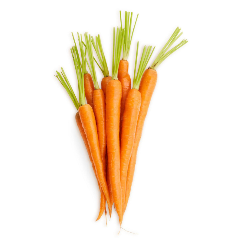 Grapefruit - Image 3